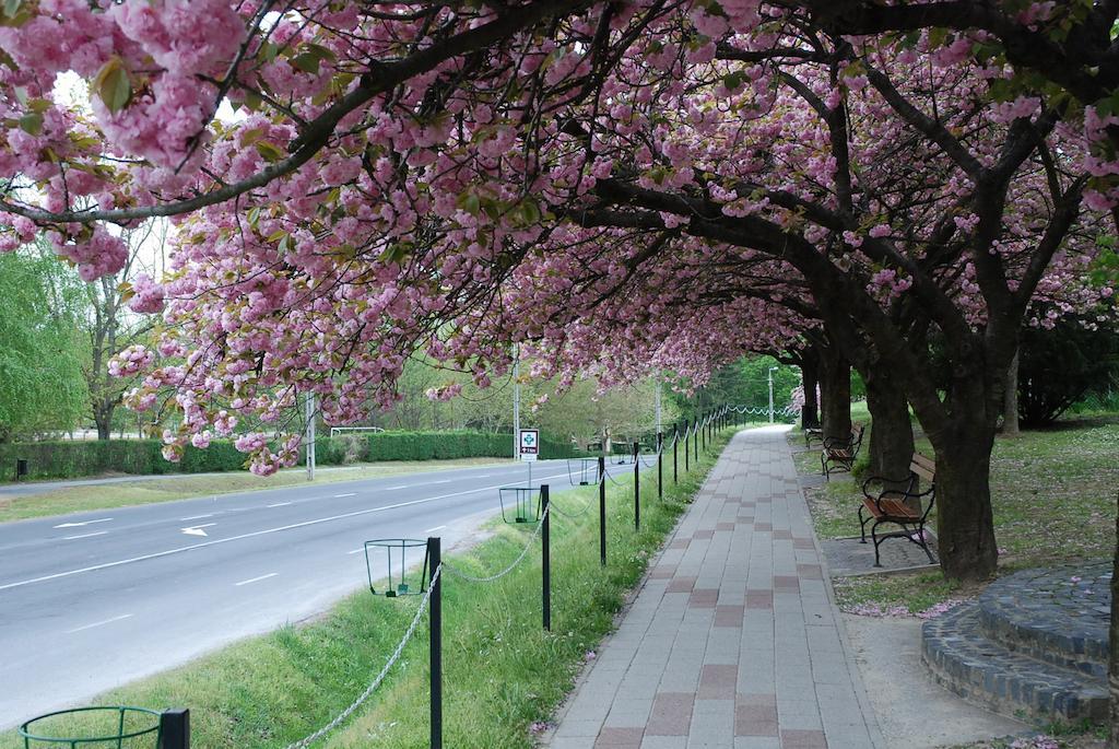 Antal Apartmanok 잘라카로쉬 외부 사진