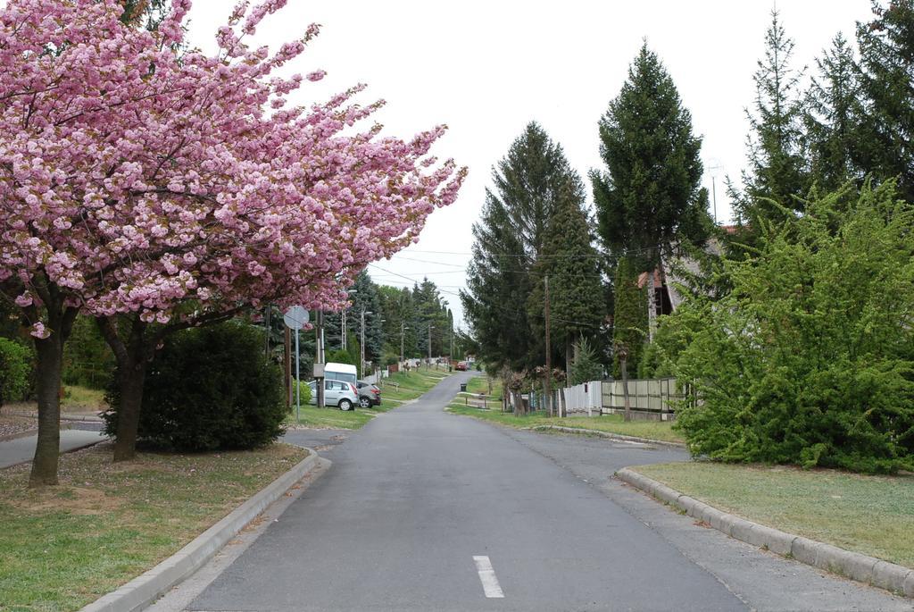 Antal Apartmanok 잘라카로쉬 외부 사진